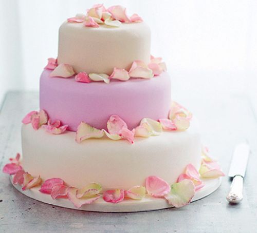Guy Allan Davis - Make Your Own Wedding Cake